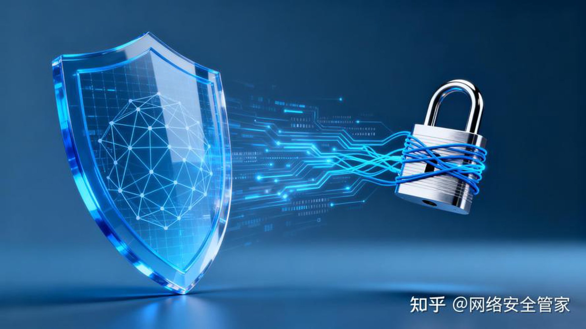 柒天柒网络科技
